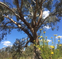 Euroa Arboretum - Whitsundays Accommodation