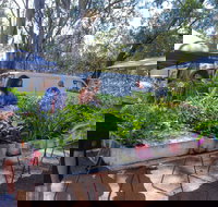 Fernvale Country Markets - Whitsundays Accommodation