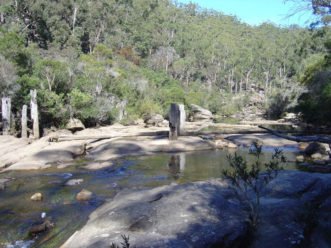 Frere's Crossing Bushwalk - Whitsundays Accommodation 0