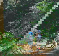 Gloucester National Park - Whitsundays Accommodation