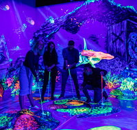 Glowing Rooms 3D Mini Golf - Whitsundays Accommodation