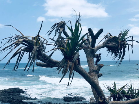 Hastings Point Beach - Whitsundays Accommodation 0