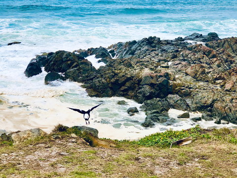 Hastings Point Beach - Whitsundays Accommodation 2