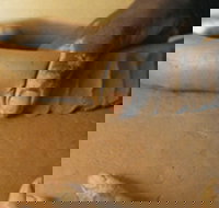 Hermannsburg Potters - Whitsundays Accommodation