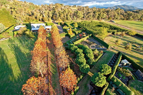 High Country Maze - Whitsundays Accommodation 1