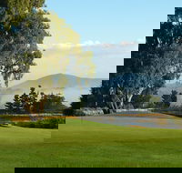 Kangaroo Tours at Gisborne Golf Club Inc