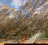 Lachlan River Swing Bridge - Whitsundays Accommodation