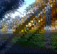 Mansfield Botanic Park - Whitsundays Accommodation