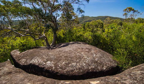 Marramarra Ridge To Smugglers Ridge Walking Track - Whitsundays Accommodation 0