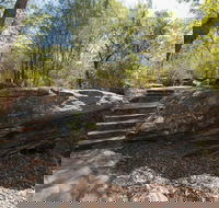Mooney Mooney nature walk - Whitsundays Accommodation