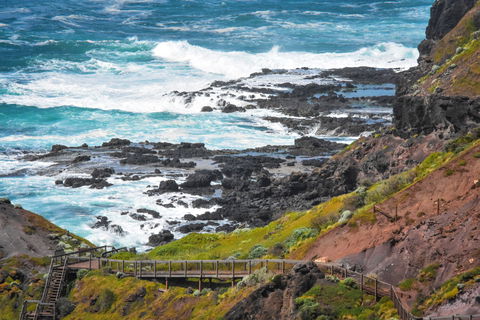 Mornington Peninsula National Park - Whitsundays Accommodation 0
