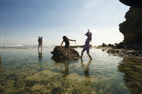 Mornington Peninsula National Park - Whitsundays Accommodation 2