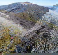 Mt Buller Bike Park - Whitsundays Accommodation