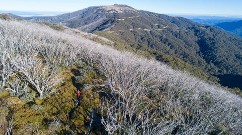 Mt Buller Bike Park - Whitsundays Accommodation 0