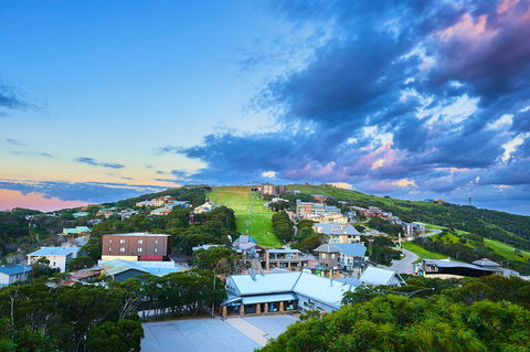 Mt Buller Bike Park - Whitsundays Accommodation 2