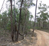 Paddys Ranges State Park - Whitsundays Accommodation