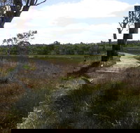 Penola Conservation Park - Whitsundays Accommodation