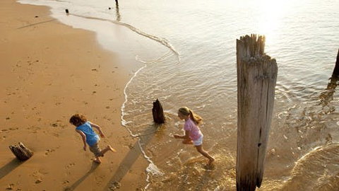 Phillip Island - Whitsundays Accommodation 0