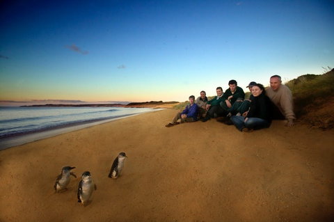 Phillip Island - Whitsundays Accommodation 2