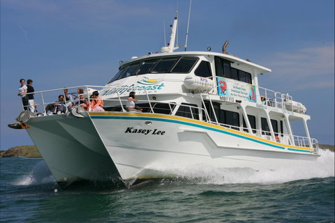 Phillip Island Experience - Whitsundays Accommodation 2
