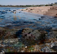 Point Cook Marine Sanctuary - Whitsundays Accommodation