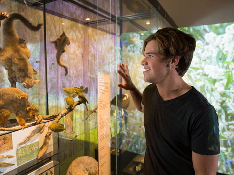 Queensland Museum - Whitsundays Accommodation 0