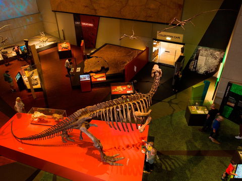 Queensland Museum - Whitsundays Accommodation 2