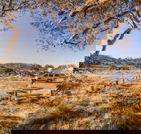 Rennix walking track - Whitsundays Accommodation