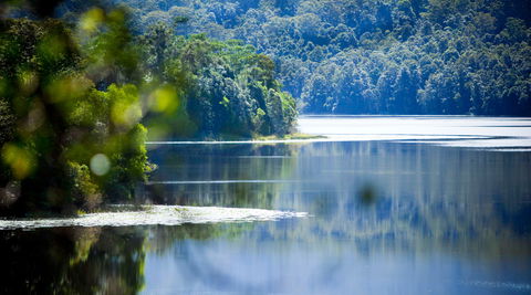 Rocky Creek Dam - Whitsundays Accommodation 0
