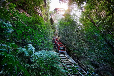 Scenic World Blue Mountains - Whitsundays Accommodation 0