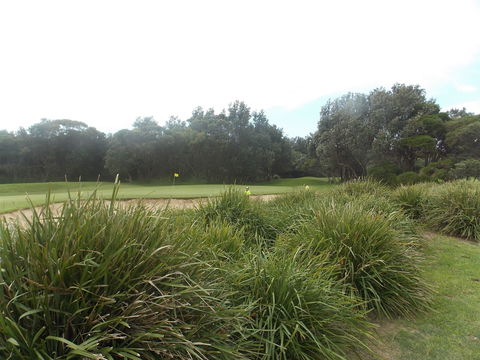 Shoalhaven Heads Golf Club - Whitsundays Accommodation 0