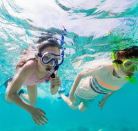 Snorkel Hat Head Creek - Whitsundays Accommodation
