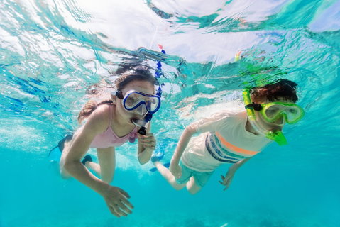 Snorkel Hat Head Creek - Whitsundays Accommodation 0