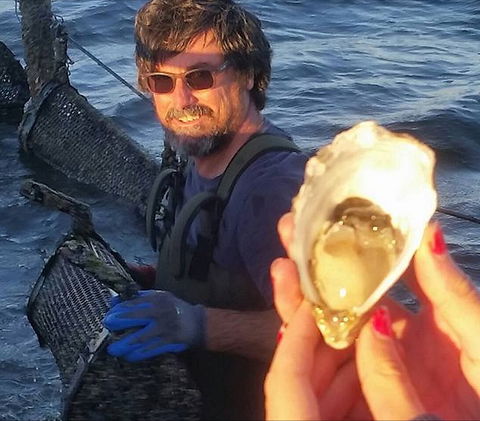 Southern Yorke Oysters - Whitsundays Accommodation 0