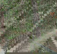 Springwood Conservation Park - Whitsundays Accommodation