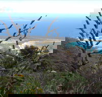 Strzelecki Peaks Great Short Walk - Whitsundays Accommodation