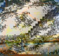 Sturt Gorge Recreation Park - Whitsundays Accommodation