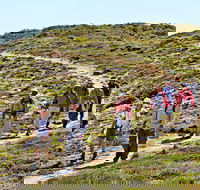 The Sole Walk at Hillocks Drive - Whitsundays Accommodation