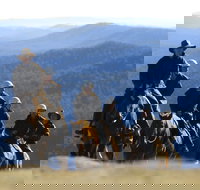 Victoria's High Country - Whitsundays Accommodation