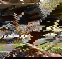 Walcha Open Air Gallery - Whitsundays Accommodation