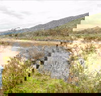 Willis picnic area - Whitsundays Accommodation