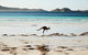 Albany And Esperance - thumb 2