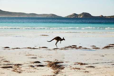 Albany And Esperance - Whitsundays Accommodation 2