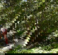 Alfred National Park - Whitsundays Accommodation