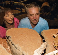 At the Creek Visitor Information Centre - Whitsundays Accommodation