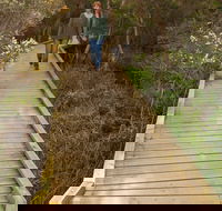 Balcombe Creek Estuary Boardwalk - Whitsundays Accommodation