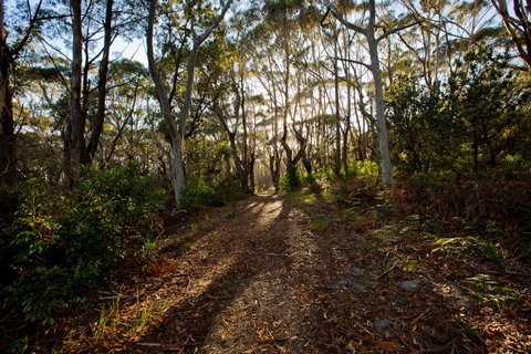 Booderee National Park: Munyunga Waraga Dhugan Walking Trail - Whitsundays Accommodation 0