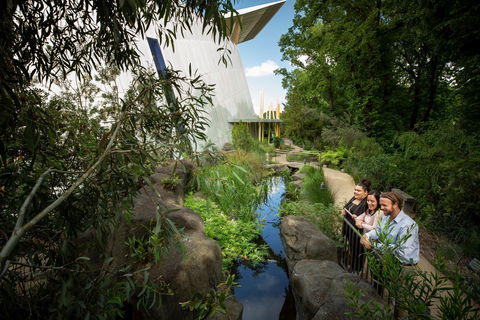 Bunjilaka Aboriginal Cultural Centre - Whitsundays Accommodation 2