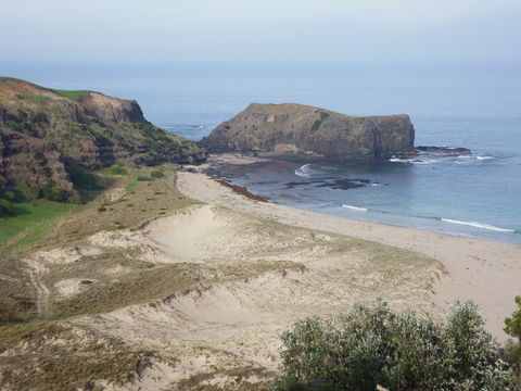 Bushrangers Bay - Whitsundays Accommodation 2