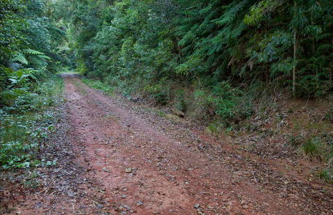 Cascade Mountain Bike Trail - Whitsundays Accommodation 0